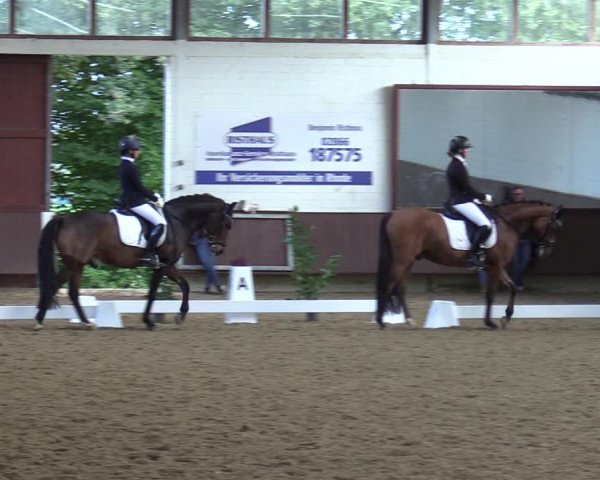 Reitturnier Lembeck-RA Elwermann 2023