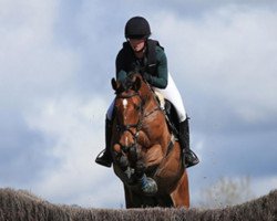 jumper Dibadu 8 (Hanoverian, 2014, from Tailormade's Diarado's Boy 256 FIN)