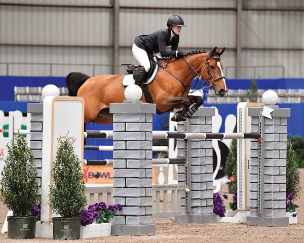 Springpferd Juju Vdm (Belgisches Warmblut, 2009, von Toulon)