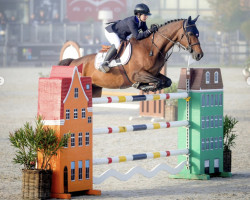 jumper Armani (KWPN (Royal Dutch Sporthorse), 2010, from Namelus R)
