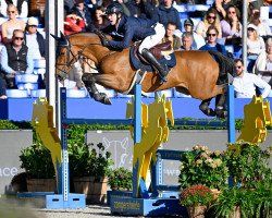 Springpferd Hhs Ocala (Irish Sport Horse, 2018, von Urano de Cartigny)
