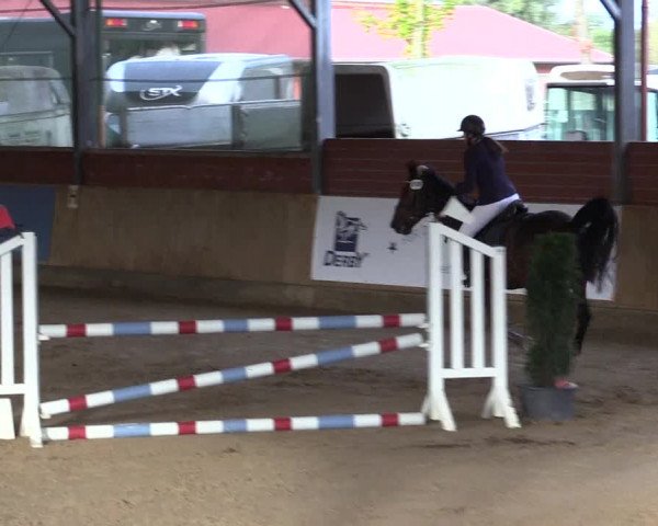 Reitturnier Telgte-Lauheide 2023