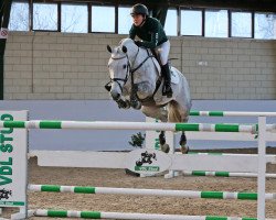 jumper Germeta W (KWPN (Royal Dutch Sporthorse), 2011, from Mr Blue)