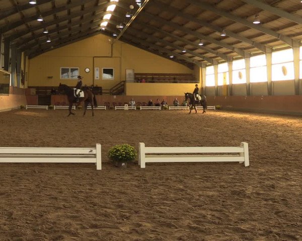 Reitturnier Frechen-Grefrath - Sonnenhof 2023