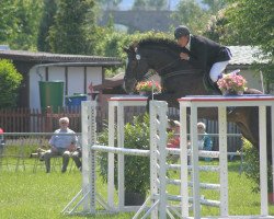 jumper Carl der Große 9 (German Sport Horse, 2003, from Carpalo)