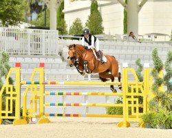 jumper Arusha (Oldenburg, 2012, from Eldorado van de Zeshoek)