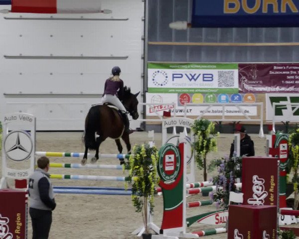 Reitturnier Borken 2023
