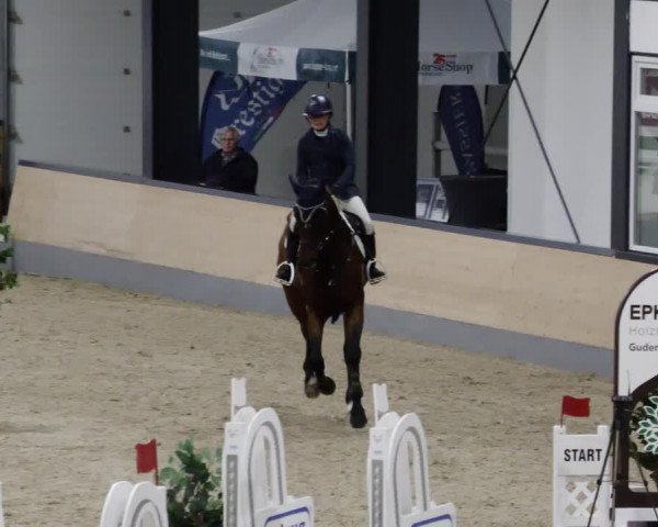 Reitturnier Borken 2023