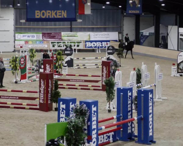 Reitturnier Borken 2023