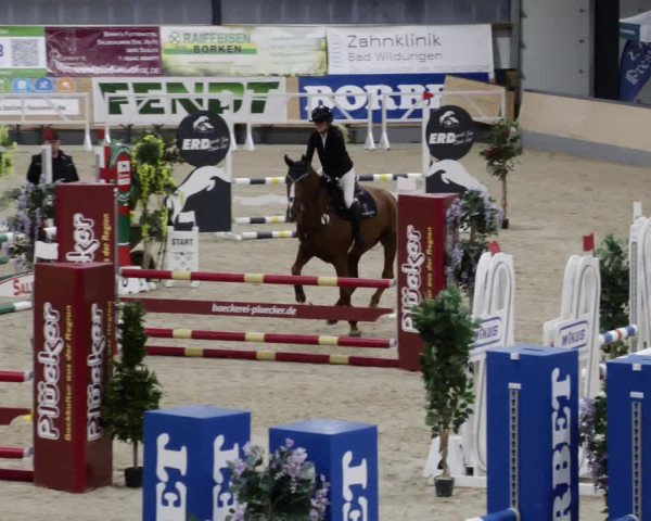 Reitturnier Borken 2023
