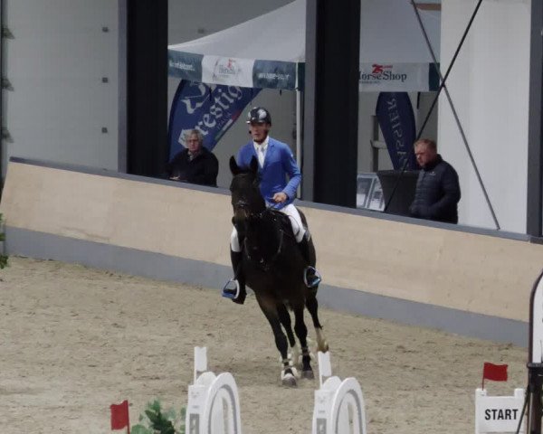 Reitturnier Borken 2023