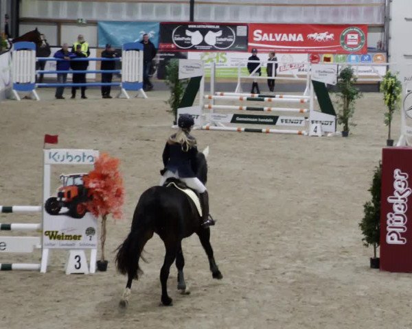 Reitturnier Borken 2023