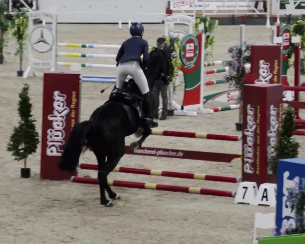 Reitturnier Borken 2023