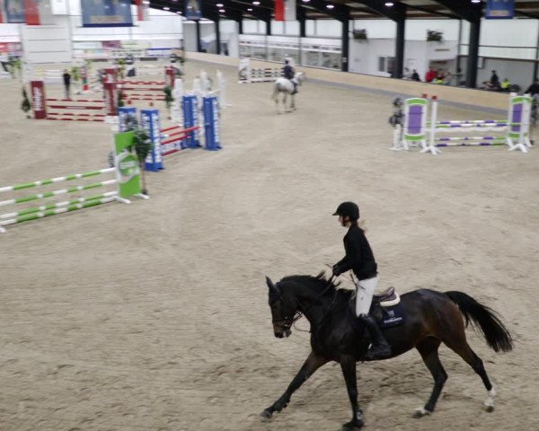 Reitturnier Borken 2023