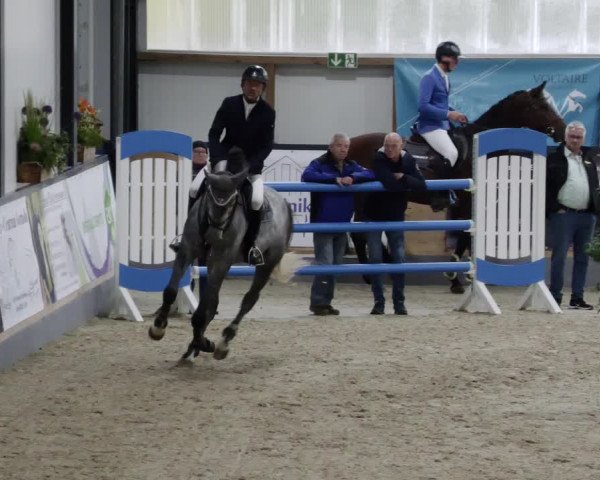 Reitturnier Borken 2023