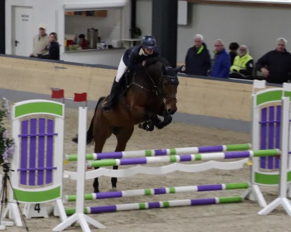 Reitturnier Borken 2023