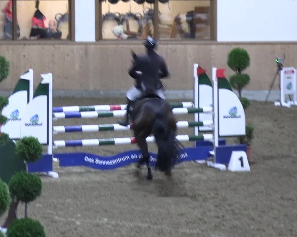 Reitturnier Hövelhof 2023