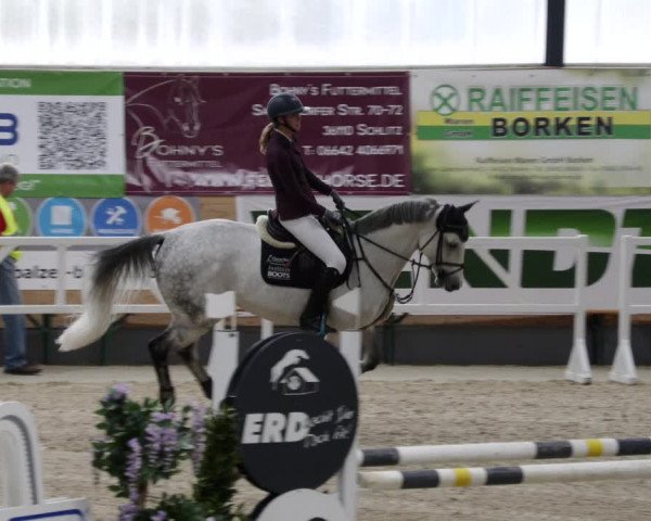 Reitturnier Borken 2023