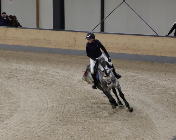 Reitturnier Borken 2023