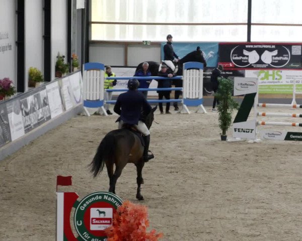 Reitturnier Borken 2023