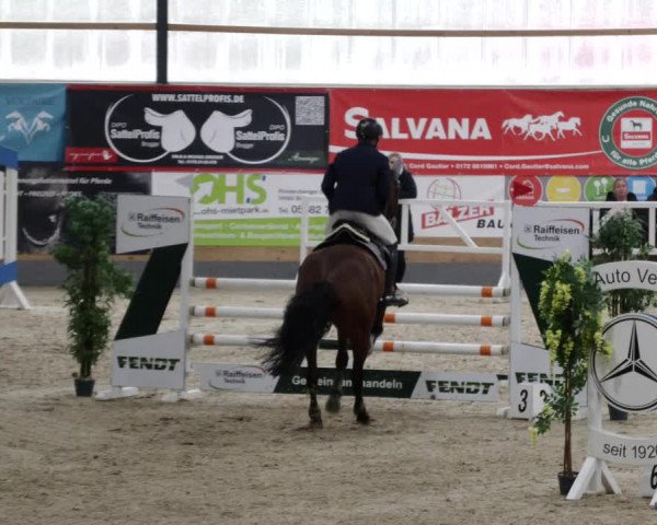 Reitturnier Borken 2023