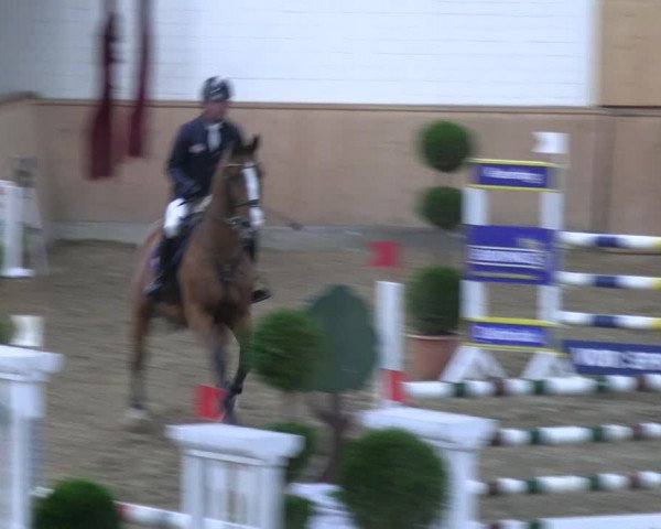 Reitturnier Hövelhof 2023