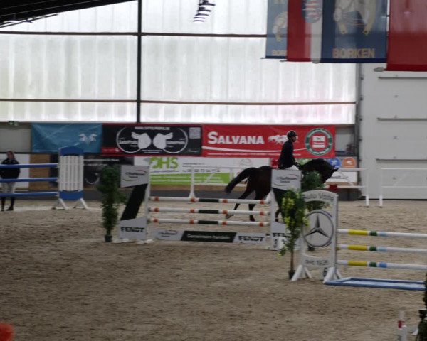 Reitturnier Borken 2023