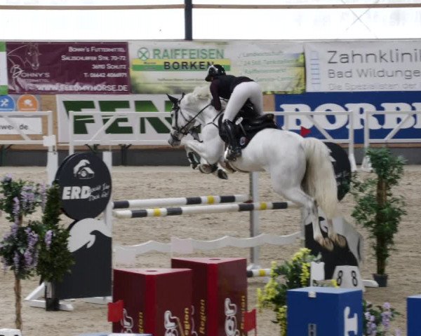 Reitturnier Borken 2023