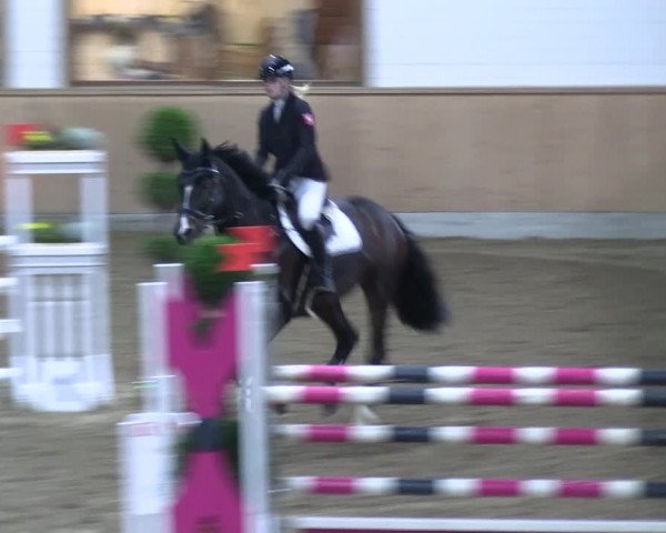Reitturnier Hövelhof 2023