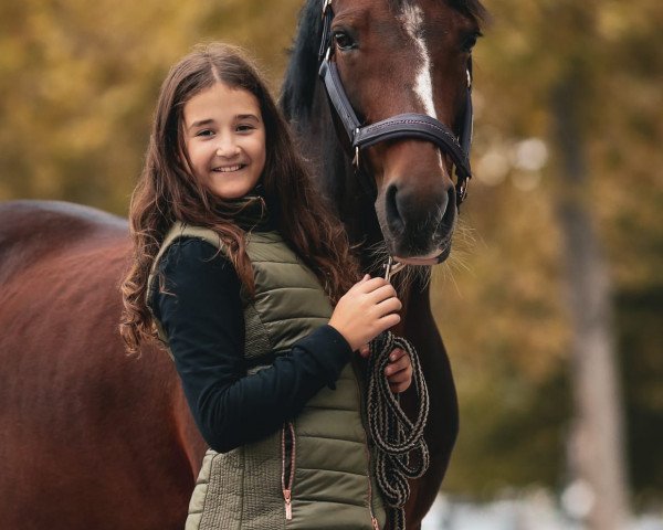 dressage horse Nordbygaards Chanell (Danish Warmblood, 2010)