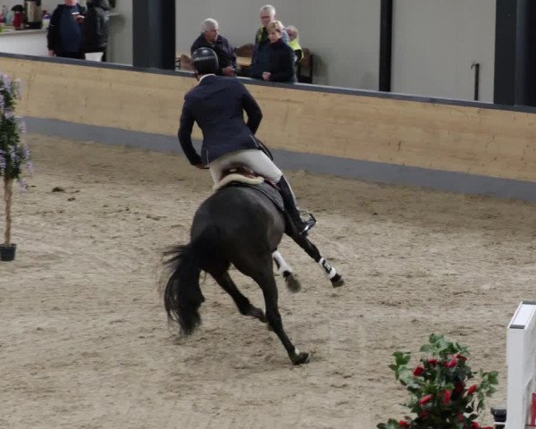 Reitturnier Borken 2023