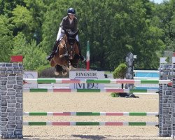 stallion Eothymm de Kergane (Selle Français, 2014, from Quinoto Bois Margot)