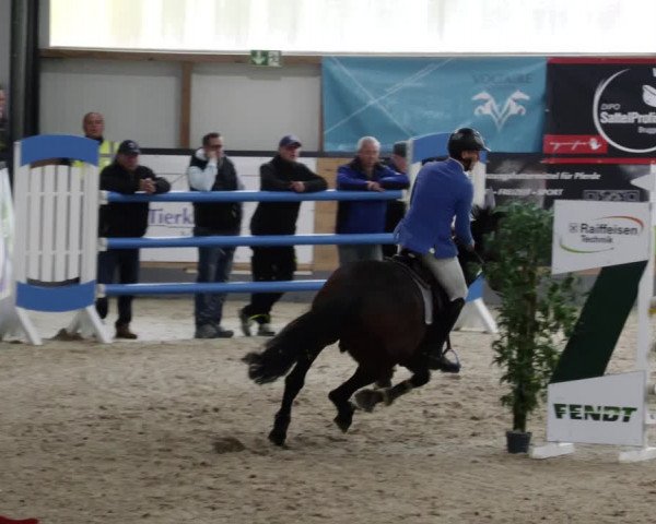 Reitturnier Borken 2023