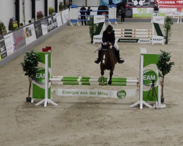 Reitturnier Borken 2023