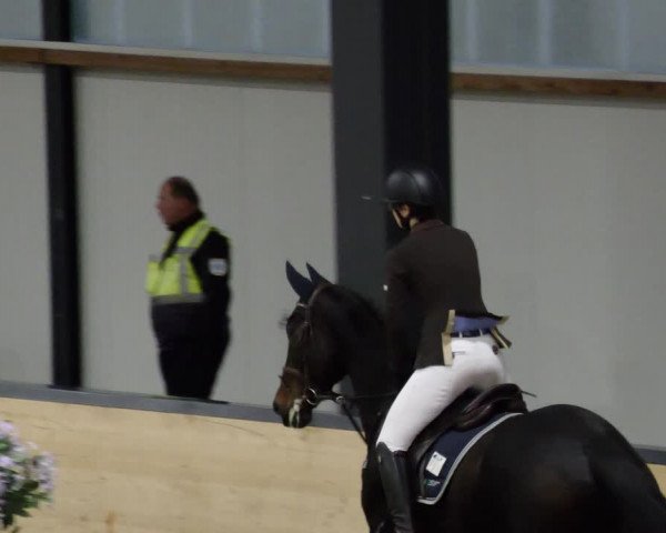 Reitturnier Borken 2023