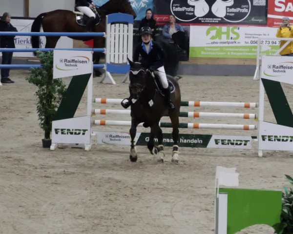 Reitturnier Borken 2023