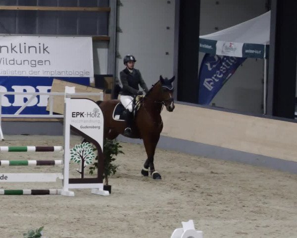 Reitturnier Borken 2023