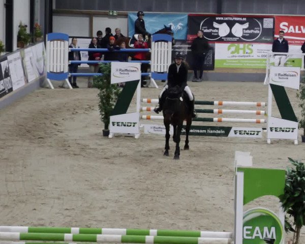 Reitturnier Borken 2023