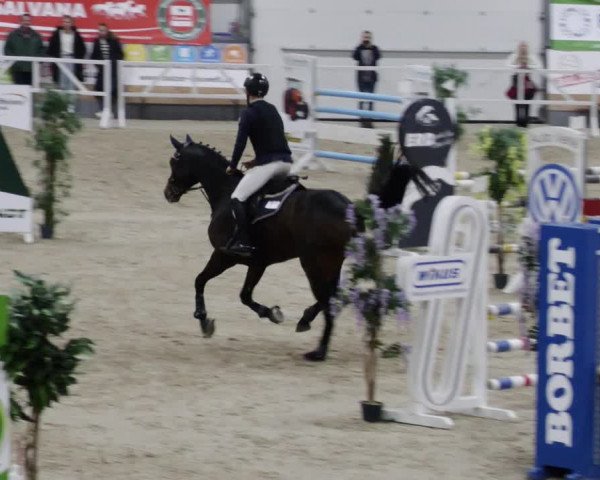 Reitturnier Borken 2023