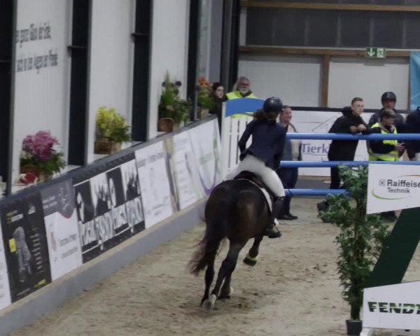 Reitturnier Borken 2023