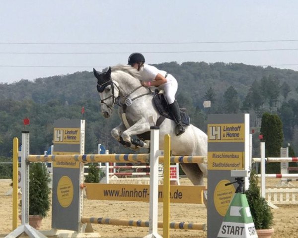 jumper Claire 142 (Oldenburg, 2010, from Colman)