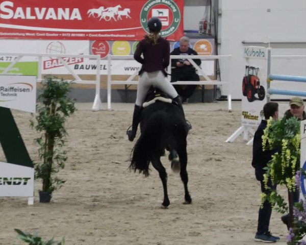 Reitturnier Borken 2023