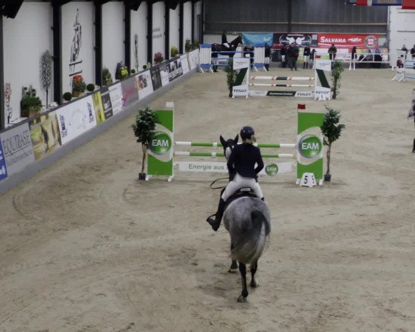 Reitturnier Borken 2023