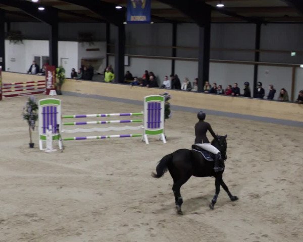 Reitturnier Borken 2023