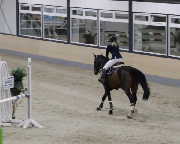 Reitturnier Borken 2023