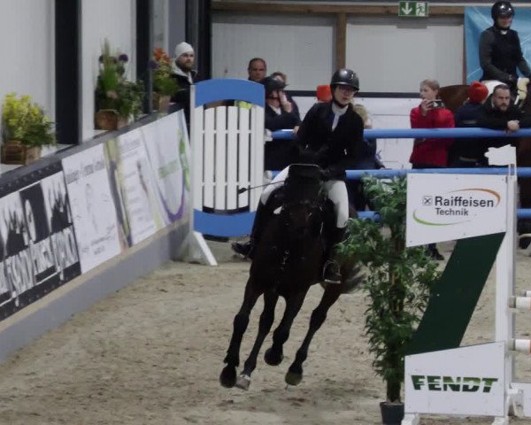 Reitturnier Borken 2023