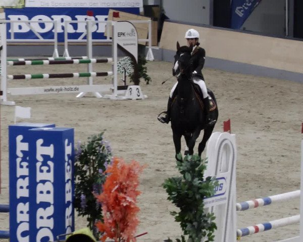 Reitturnier Borken 2023