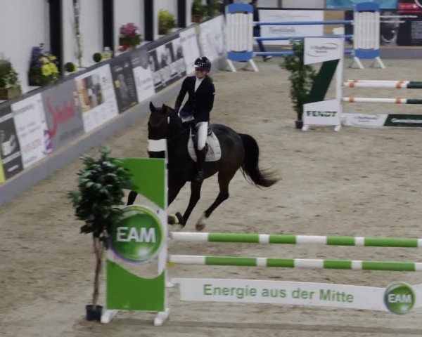 Reitturnier Borken 2023