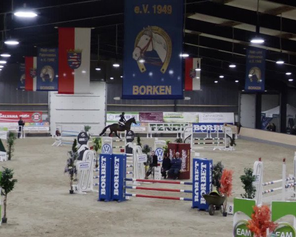 Reitturnier Borken 2023