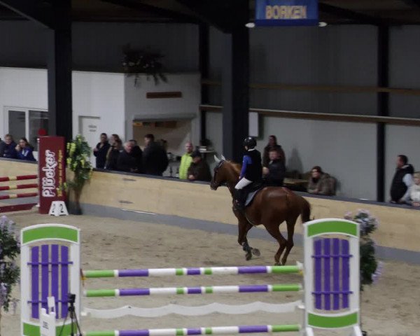 Reitturnier Borken 2023